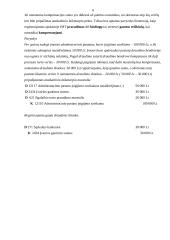 Įmonės turto netekimas ir registravimas apskaitoje 6 puslapis