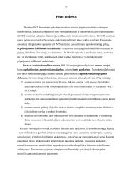 Įmonės turto netekimas ir registravimas apskaitoje 7 puslapis