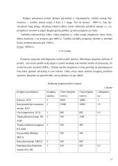 Įmonės vadybinės veiklos analizė: automobilių remonto paslaugos IĮ "Dilnija" 11 puslapis