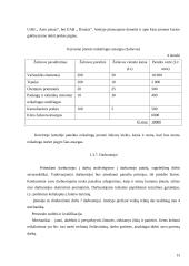 Įmonės vadybinės veiklos analizė: automobilių remonto paslaugos IĮ "Dilnija" 13 puslapis