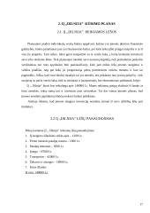 Įmonės vadybinės veiklos analizė: automobilių remonto paslaugos IĮ "Dilnija" 17 puslapis