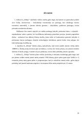 Įmonės vadybinės veiklos analizė: automobilių remonto paslaugos IĮ "Dilnija" 20 puslapis