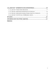 Įmonės vadybinės veiklos analizė: automobilių remonto paslaugos IĮ "Dilnija" 3 puslapis