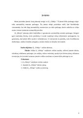 Įmonės vadybinės veiklos analizė: automobilių remonto paslaugos IĮ "Dilnija" 4 puslapis