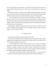 Įmonės vadybinės veiklos analizė: automobilių remonto paslaugos IĮ "Dilnija" 6 puslapis