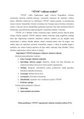 Įmonės valdymo analizė: Tauragės Žalgirių vidurinė mokykla 2 puslapis
