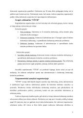 Įmonės valdymo analizė: Tauragės Žalgirių vidurinė mokykla 5 puslapis
