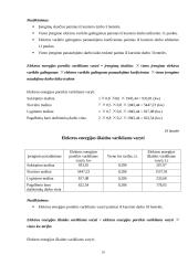 Įmonės veikla: siuvimo įmonė UAB "Gracija" 19 puslapis