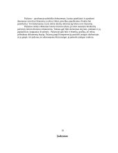 Įmonės veiklos dokumentų rengimo analizė: UAB "Žvaigždutė" 12 puslapis