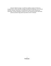 Įmonės veiklos dokumentų rengimo analizė: UAB "Žvaigždutė" 13 puslapis