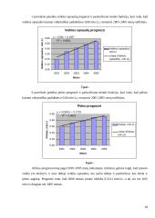 Įmonės veiklos efektyvumo įvertinimas: UAB "Mažeikių butų ūkis" 18 puslapis