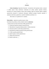 Įmonės veiklos ekonominių rodiklių skaičiavimas 2 puslapis