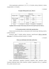 Įmonės veiklos ekonominių rodiklių skaičiavimas 12 puslapis