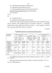 Įmonės veiklos ekonominių rodiklių skaičiavimas 19 puslapis