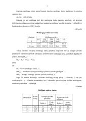 Įmonės veiklos ekonominių rodiklių skaičiavimas 6 puslapis