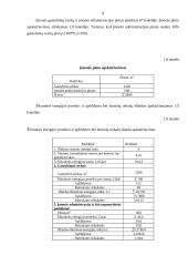 Įmonės veiklos ekonominių rodiklių skaičiavimas 8 puslapis