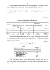 Įmonės veiklos ekonominių rodiklių skaičiavimas 9 puslapis