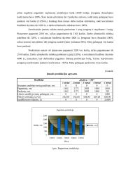 Įmonės veiklos modeliavimo ataskaita: UAB "Katiliukas" 3 puslapis