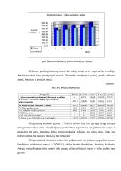 Įmonės veiklos modeliavimo ataskaita: UAB "Katiliukas" 8 puslapis
