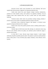 Įmonės veiklos modeliavimo ataskaita: UAB "Katiliukas" 9 puslapis