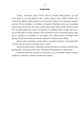 Įmonės veiklos organizavimas: audinių gamyba "Filana" 2 puslapis