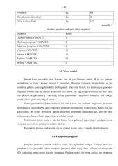 Įmonės veiklos organizavimas: audinių gamyba "Filana" 11 puslapis