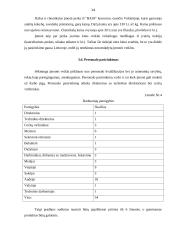 Įmonės veiklos organizavimas: audinių gamyba "Filana" 13 puslapis