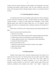 Įmonės veiklos organizavimas: audinių gamyba "Filana" 4 puslapis