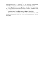 Įmonės veiklos organizavimas: audinių gamyba "Filana" 5 puslapis