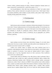 Įmonės veiklos organizavimas: audinių gamyba "Filana" 7 puslapis