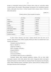 Įmonės veiklos organizavimas: audinių gamyba "Filana" 8 puslapis