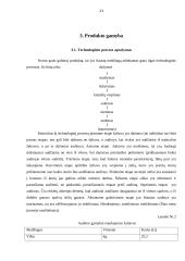 Įmonės veiklos organizavimas: audinių gamyba "Filana" 10 puslapis