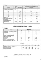 Įmonės veiklos kaštų, pajamų ir pelno planas 2 puslapis