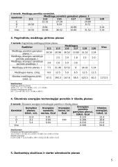 Įmonės veiklos kaštų, pajamų ir pelno planas 5 puslapis