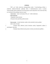 Įmonės veiklos tobulinimo planas: archyvinės paslaugos 2 puslapis