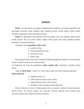 Įmonės verslo rizika ir jos mažinimo galimybės 2 puslapis