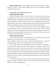 Įmonės verslo rizika ir jos mažinimo galimybės 13 puslapis