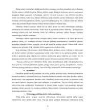 Įmonės verslo rizika ir jos mažinimo galimybės 15 puslapis