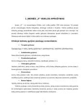 Įmonės verslo rizika ir jos mažinimo galimybės 3 puslapis