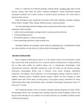 Įmonės verslo rizika ir jos mažinimo galimybės 5 puslapis