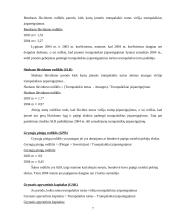 Įmonės verslo rizika ir jos mažinimo galimybės 7 puslapis