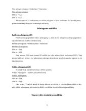 Įmonės verslo rizika ir jos mažinimo galimybės 9 puslapis