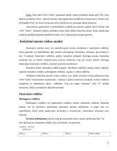 Įmonės verslo rizika ir jos mažinimo galimybės: UAB "Judex" 5 puslapis