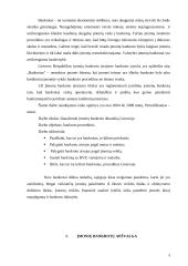 Įmonių bankroto dinamika Lietuvoje. Tyčinis bankrotas 3 puslapis