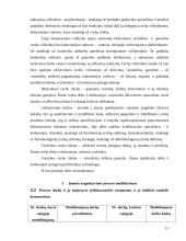 Įmonių organizavimas ir valdymas 15 puslapis