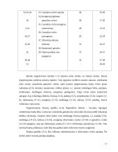 Įmonių organizavimas ir valdymas 17 puslapis