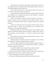 Įmonių organizavimas ir valdymas 19 puslapis