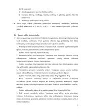 Įmonių organizavimas ir valdymas 5 puslapis