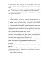 Įmonių organizavimas ir valdymas 9 puslapis