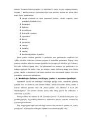 Pyragų kepimo ir tiekimo įmonė 5 puslapis